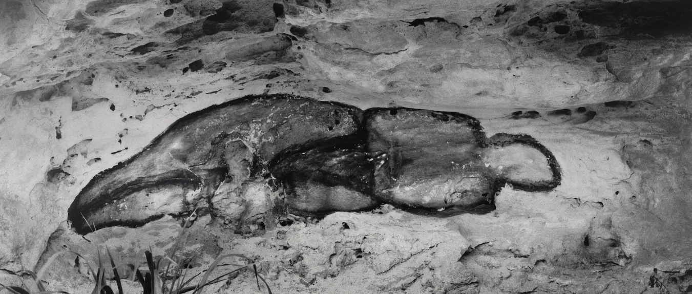 Najlepsze wystawy i festiwale sztuki w 2026 roku